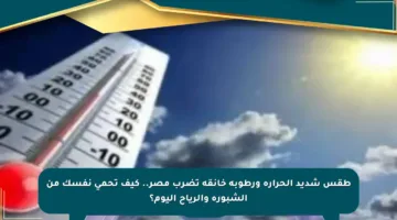 طقس شديد الحرارة ورطوبة خانقة تضرب مصر.. كيف تحمي نفسك من الشبورة والرياح اليوم؟